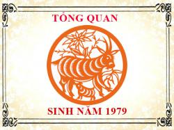Sinh năm 1979 mệnh gì, tuổi gì và hợp màu gì?