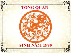 Sinh năm 1980 mệnh gì, tuổi gì và hợp màu gì?