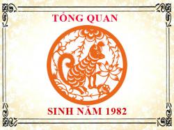 Sinh năm 1982 mệnh gì, tuổi gì và hợp màu gì?