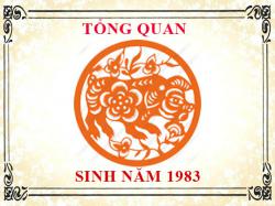 Sinh năm 1983 mệnh gì, tuổi gì và hợp màu gì?