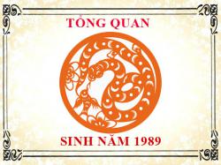 Sinh năm 1989 mệnh gì, tuổi gì và hợp màu gì?