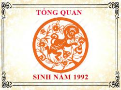 Sinh năm 1992 mệnh gì, tuổi gì và hợp màu gì?