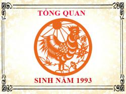 Sinh năm 1993 mệnh gì, tuổi gì và hợp màu gì?