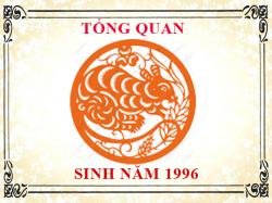 Sinh năm 1996 mệnh gì, tuổi gì và hợp màu gì?