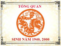 Sinh năm 2000 mệnh gì, tuổi gì và hợp màu gì?