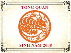 Sinh năm 2008 mệnh gì, tuổi gì và hợp màu gì?