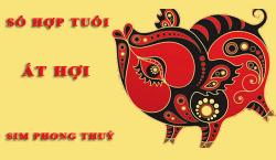 Tuổi Ất Hợi hợp với số nào theo phong thuỷ, chọn sim phong thuỷ