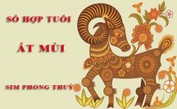 Tuổi Ất Mùi hợp với số nào theo phong thuỷ, chọn sim phong thuỷ