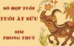 Tuổi Ất Sửu hợp với số nào theo phong thuỷ, chọn sim phong thuỷ
