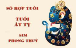 Tuổi Ất Tỵ hợp với số nào theo phong thuỷ, chọn sim phong thuỷ