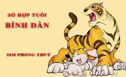 Tuổi Bính Dần hợp với số nào theo phong thuỷ, chọn sim phong thuỷ