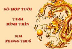 Tuổi Canh Thìn hợp với số nào theo phong thuỷ, chọn sim phong thuỷ