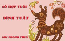 Tuổi Bính Tuất hợp với số nào theo phong thuỷ, chọn sim phong thuỷ