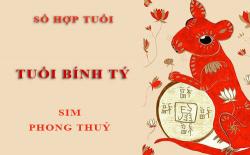 Tuổi Bính Tý hợp với số nào theo phong thuỷ, chọn sim phong thuỷ