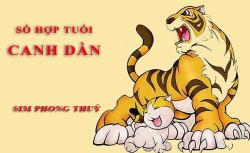 Tuổi Canh Dần hợp với số nào theo phong thuỷ, chọn sim phong thuỷ