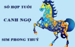 Tuổi Canh Ngọ hợp với số nào theo phong thuỷ, chọn sim phong thuỷ