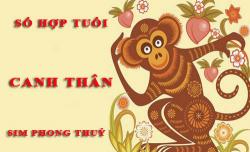 Tuổi Canh Thân hợp với số nào theo phong thuỷ, chọn sim phong thuỷ