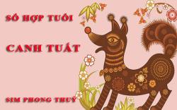 Tuổi Canh Tuất hợp với số nào theo phong thuỷ, chọn sim phong thuỷ
