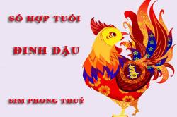 Tuổi Đinh Dậu hợp với số nào theo phong thuỷ, chọn sim phong thuỷ