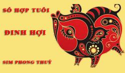 Tuổi Đinh Hợi hợp với số nào theo phong thuỷ, chọn sim phong thuỷ