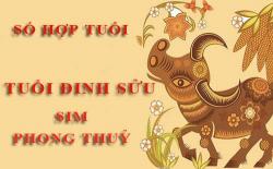 Tuổi Đinh Sửu hợp với số nào theo phong thuỷ, chọn sim phong thuỷ