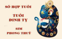 Tuổi Đinh Tỵ hợp với số nào theo phong thuỷ, chọn sim phong thuỷ