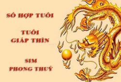 Tuổi Giáp Thìn hợp với số nào theo phong thuỷ, chọn sim phong thuỷ