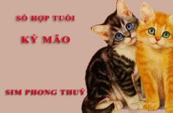 Tuổi Kỷ Mão hợp với số nào theo phong thuỷ, chọn sim phong thuỷ