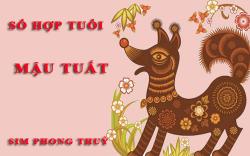 Tuổi Mậu Tuất hợp với số nào theo phong thuỷ, chọn sim phong thuỷ