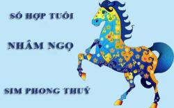 Tuổi Nhâm Ngọ hợp với số nào theo phong thuỷ, chọn sim phong thuỷ