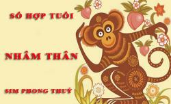 Tuổi Nhâm Thân hợp với số nào theo phong thuỷ, chọn sim phong thuỷ