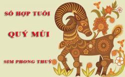 Tuổi Quý Mùi hợp với số nào theo phong thuỷ, chọn sim phong thuỷ