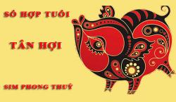 Tuổi Tân Hợi hợp với số nào theo phong thuỷ, chọn sim phong thuỷ
