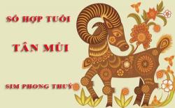 Tuổi Tân Mùi hợp với số nào theo phong thuỷ, chọn sim phong thuỷ