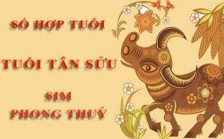 Tuổi Tân Sửu hợp với số nào theo phong thuỷ, chọn sim phong thuỷ
