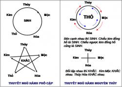 Tìm hiểu quan hệ Thiên can, địa chi, ngũ hành hợp xung và ảnh hưởng tới bản mệnh