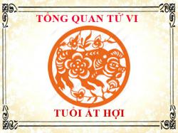 Tử vi tuổi Ất Hợi 1995: Tổng quan về vận mệnh, tình yêu, sự nghiệp