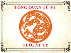 Tử vi tuổi Ất Tỵ 1965: Tổng quan về vận mệnh, tình yêu, sự nghiệp