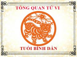 Tử vi tuổi Bính Dần 1986: Tổng quan về vận mệnh, tình yêu, sự nghiệp