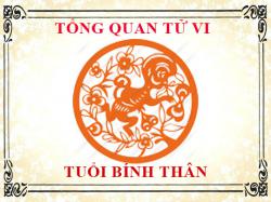 Tử vi tuổi Bính Thân 2016: Tổng quan về vận mệnh, tình yêu, sự nghiệp
