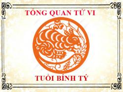 Tử vi tuổi Bính Tý 1996: Tổng quan về vận mệnh, tình yêu, sự nghiệp