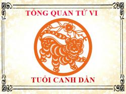 Tử vi tuổi Canh Dần 2010: Tổng quan về vận mệnh, tình yêu, sự nghiệp