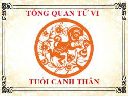 Tử vi tuổi Canh Thân: Tổng quan về vận mệnh, tình yêu, sự nghiệp
