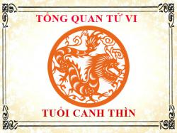 Tử vi tuổi Canh Thìn 2000: Tổng quan về vận mệnh, tình yêu, sự nghiệp