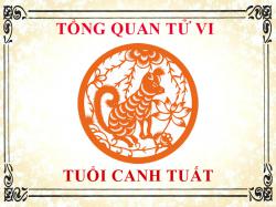 Tử vi tuổi Canh Tuất: Tổng quan về vận mệnh, tình yêu, sự nghiệp