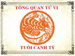 Tử vi tuổi Canh Tý 2020: Tổng quan về vận mệnh, tình yêu, sự nghiệp