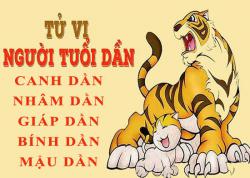 Tử vi tuổi Dần: Tổng quan vận mệnh và cuộc đời