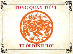 Tử vi tuổi Đinh Hợi 2007 Tổng quan về vận mệnh, tình yêu, sự nghiệp