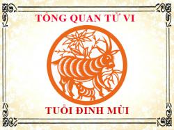 Tử vi tuổi Đinh Mùi 1967: Tổng quan về vận mệnh, tình yêu, sự nghiệp