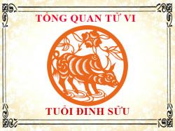 Tử vi tuổi Đinh Sửu 1997: Tổng quan về vận mệnh, tình yêu, sự nghiệp